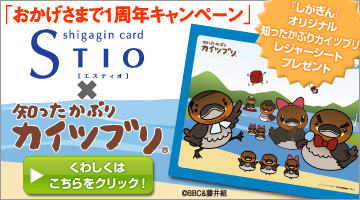 キャンペーン、詳しくはこちら